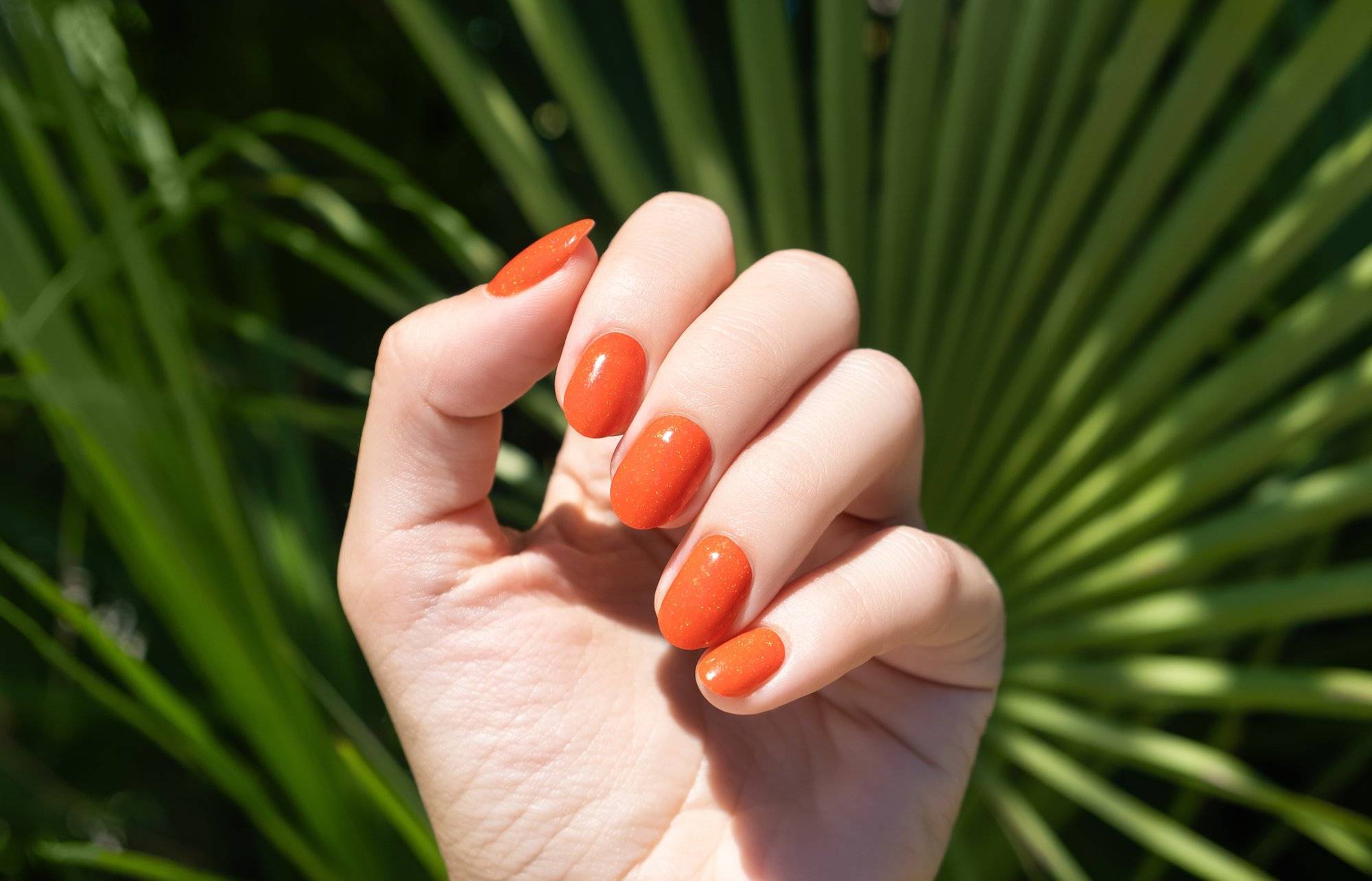 Treat Yourself to Luxury at the Ashbury Plaza Nail Salon